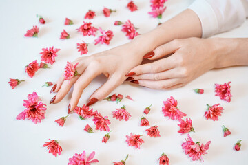 Obraz na płótnie Canvas Close-up beautiful sophisticated female hands with pink flowers on white background. Concept Hand Care, Anti-Wrinkles, anti-aging creams, spa and hand care