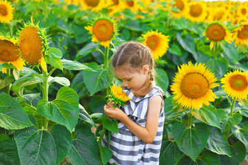 Beautiful little girl enjoying nature . Happy smiling female kid standing in sunflowers field.