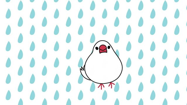 白文鳥と雨の背景の動画素材
