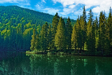 View of the alpine lake Synevyr on a summer day. forests, lakes and mountains. lake background. nature Ukraine.