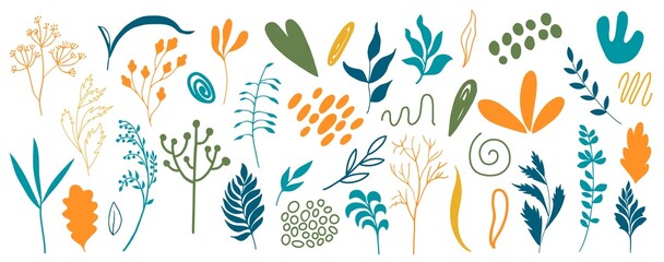 Fototapeta na wymiar Organic shapes, plants, spots, lines, dots. Vector set of minimal trendy abstract hand drawn isolated elements for graphic design 