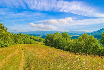 Beautiful field with a dirt road on a hill, covered with hills of grass and flowers behind the mountain and the sky with barns. landscape background.