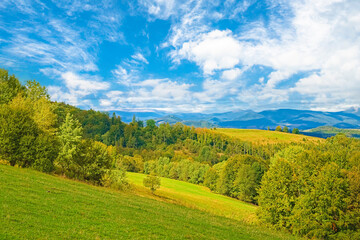 Fototapeta na wymiar Beautiful mountain landscape, with mountain peaks covered with forest and glade. Mountain background. Carpathian mountains, Ukraine