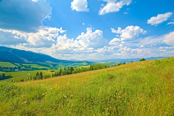 View of green mountains and clouds from a lush green meadow with spruces and flowers. The landscape is burning.