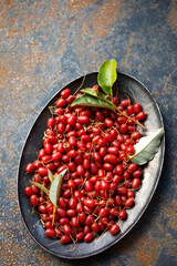 Ripe sweet Gumi berries, top view
