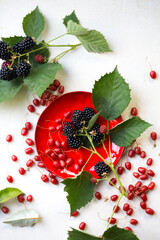 tasty Gumi berries and blackberries on a red plate, top view