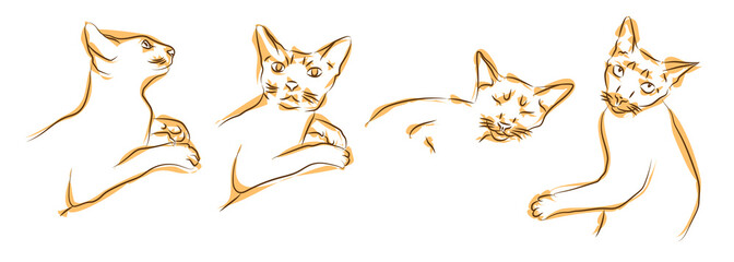 Set of contour illustrations of domestic red cat in different poses. Silhouette of cat isolated on white background. Animal care, welfare and protection concept. Sketch, linear drawing