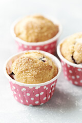 Muffins with Blueberries and Brown Sugar. Close up. 