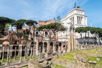 Naklejka premium views of roman forum from palatine mountain, Rome 