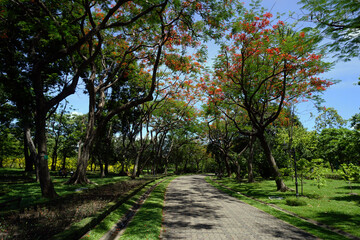 The atmosphere in the park has beautiful flowers and plants