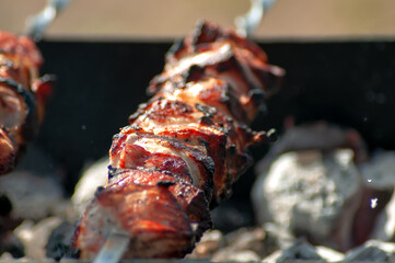 Pork kebab on skewers, grilled on coals, raw meat, six skewers with meat.