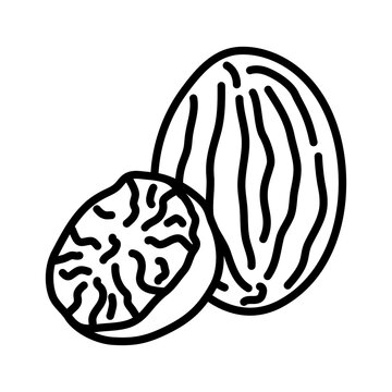 recommend clip art: Nutmeg line icon. Pictogram isolated on a white background.
