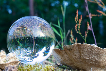 Lensball - Natur - Transparenz  - Zerbrechlich - Ecology - Bioeconomy - High quality photo