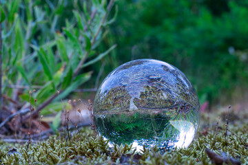 Lensball - Natur - Transparenz  - Zerbrechlich - Ecology - Bioeconomy - High quality photo