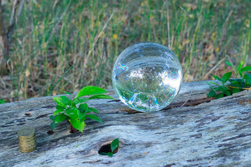 Lensball - Natur - Transparenz  - Zerbrechlich - Ecology - Bioeconomy - High quality photo