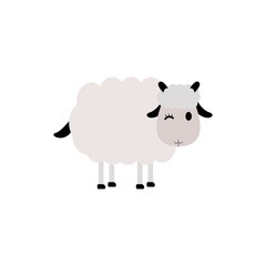 sheep vector element illustration design