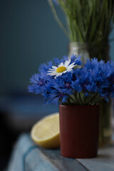 blue flowers in  pot