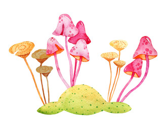 Watercolor magic cute fairy mushrooms illustration. Summer forest floral border.