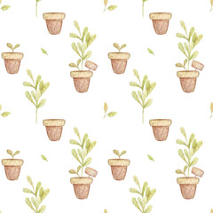 Seamless watercolor pattern with home plants in brown pots. Rosemary, Herbals, flowers, leaves and lush foliage.