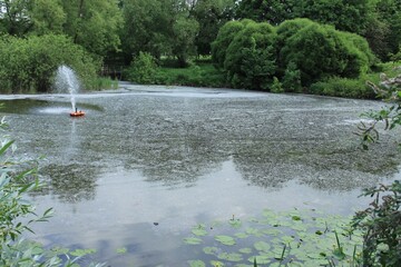 White fluff on the surface of the lake.