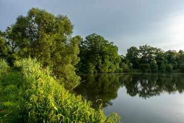 Pond surrounded by greenery in golden hour with reflections in the water 