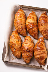 big crispy croissants in a baking sheets on a white background, top view