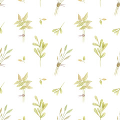 Herbals seamless watercolor pattern design. Hand-drawn illustration. Garden theme