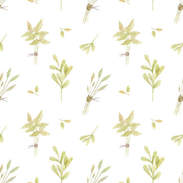 Herbals seamless watercolor pattern design. Hand-drawn illustration. Garden theme