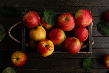 Red and yellow apples harvest in wooden crate fruits food top view on dark surface