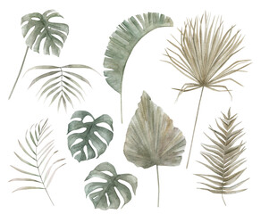 Watercolor tropical vintage  leaves set. Hand drawn isolated illustration on white background