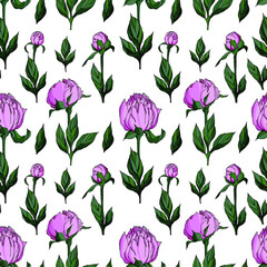 Vector seamless pattern with pink peony buds, flowers, green leaves on white. Tender summer design for textile, wallpaper, wrapping paper.