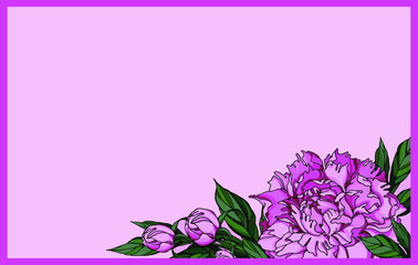 Vector pink rectangle with peony flower, buds, leaves and empty place for text. Design for card, poster, invitation.