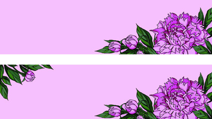 Vector horizontal pink rectangles with floral corners from peony flowers, buds, leaves. Romantic summer design for banner, card, invitation.