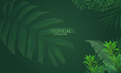 TROPICAL SUMMER BACKGROUND