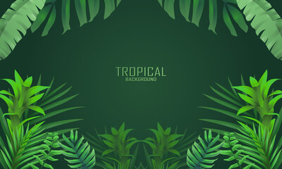 TROPICAL SUMMER BACKGROUND