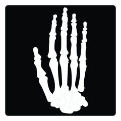 Hand X-ray glyph icon, medicine and healthcare, radiology sign vector graphics, a solid pattern on a white background