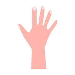 open hand. vector illustration. on white background