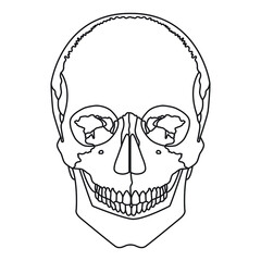 human head skull. vector outline. on white background