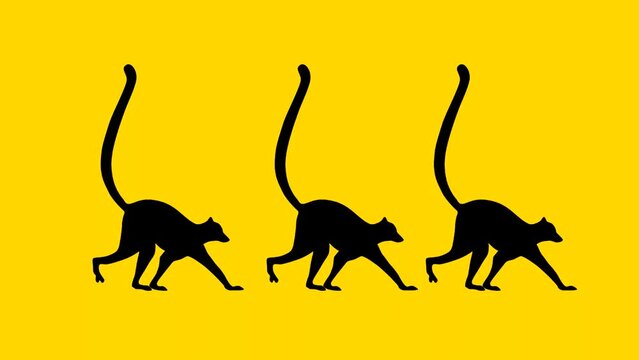 Three walking lemurs, animation on the yellow background (seamless loop)