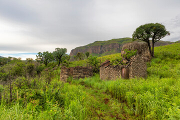 Fototapeta premium Ruins and cabbage trees in the mountain