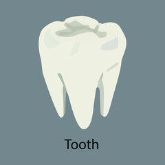 tooth and icons. white tooth on gray background