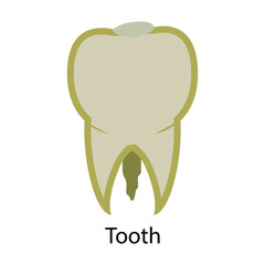 Medical icon. White tooth. Health care, medicine, dentistry. Vector illustration.