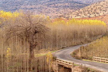Fototapeta premium Autumn Colors /Savur/Mardin