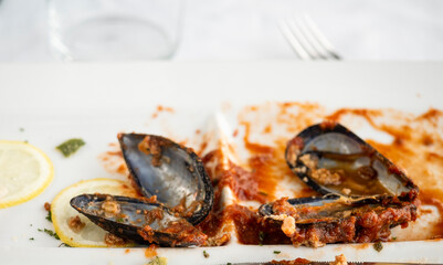 Close up on Mussles Shells, abstract foody background