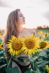 A young, naked, slender girl with loose hair covers her body with sunflowers in a field at sunset