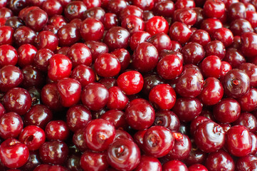 Ripe cherries background. Summer fruit vitamins.