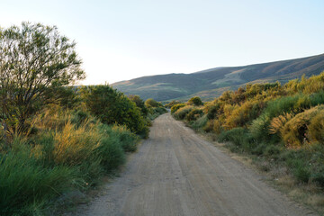 JERTE VALLEY, WONDERFUL IN SPRING, PICKED FROM THE FAMOUS JERTE CHERRY
