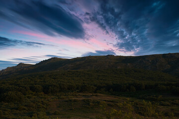 JERTE VALLEY, WONDERFUL IN SPRING, PICKED FROM THE FAMOUS JERTE CHERRY