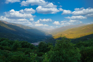 Naklejka premium JERTE VALLEY, WONDERFUL IN SPRING, PICKED FROM THE FAMOUS JERTE CHERRY