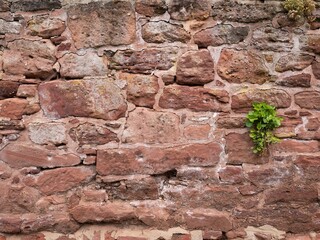 Alte Mauer Textur Hintergrund.